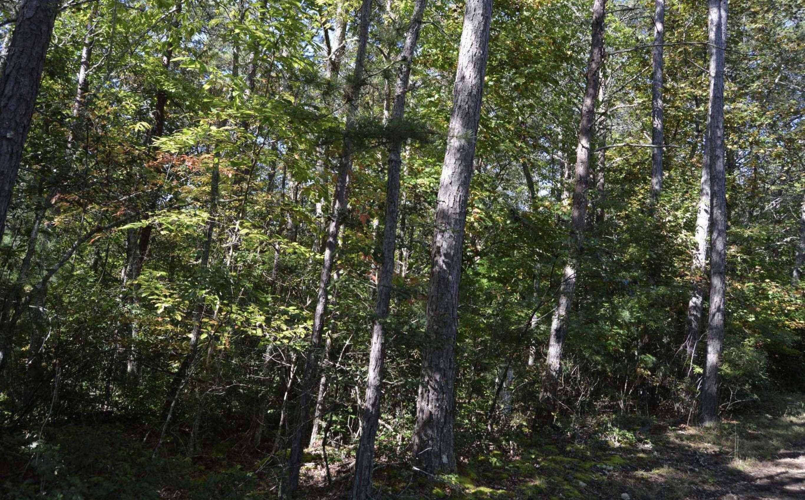 Warne, NC 28909,#1 Willow Ridge 7a