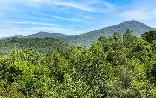 Hiawassee, GA 30546,4500 Stiff Knee Drive