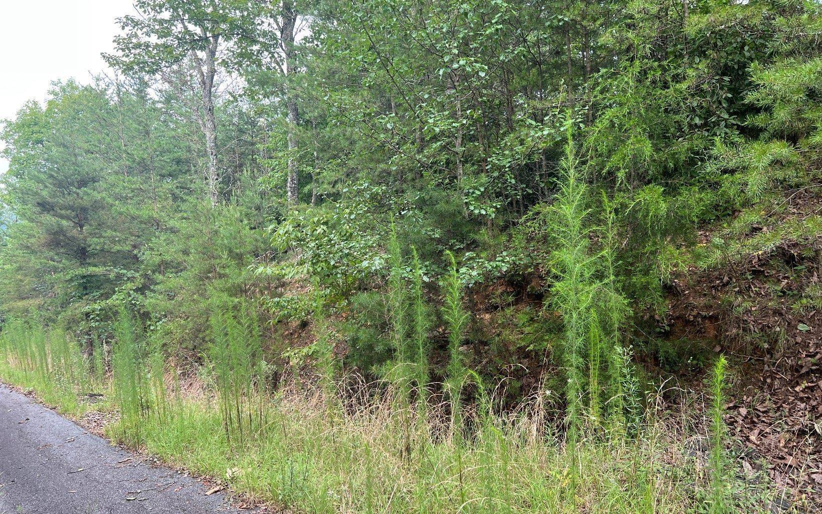 Brasstown, NC 28902,LOT 8 Preserve At Beach Mountain