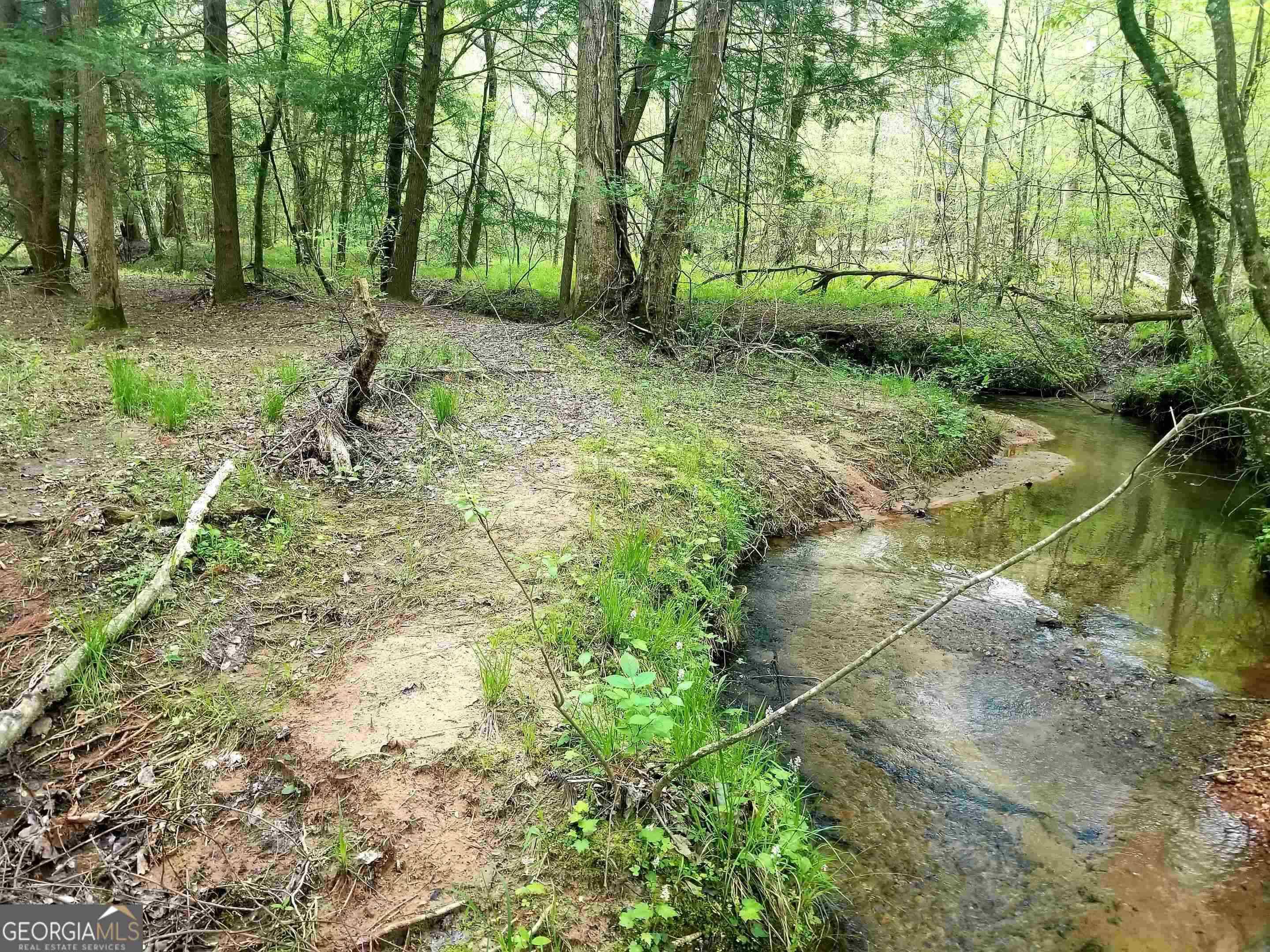 Cleveland, GA 30528,369 Peaceful Valley