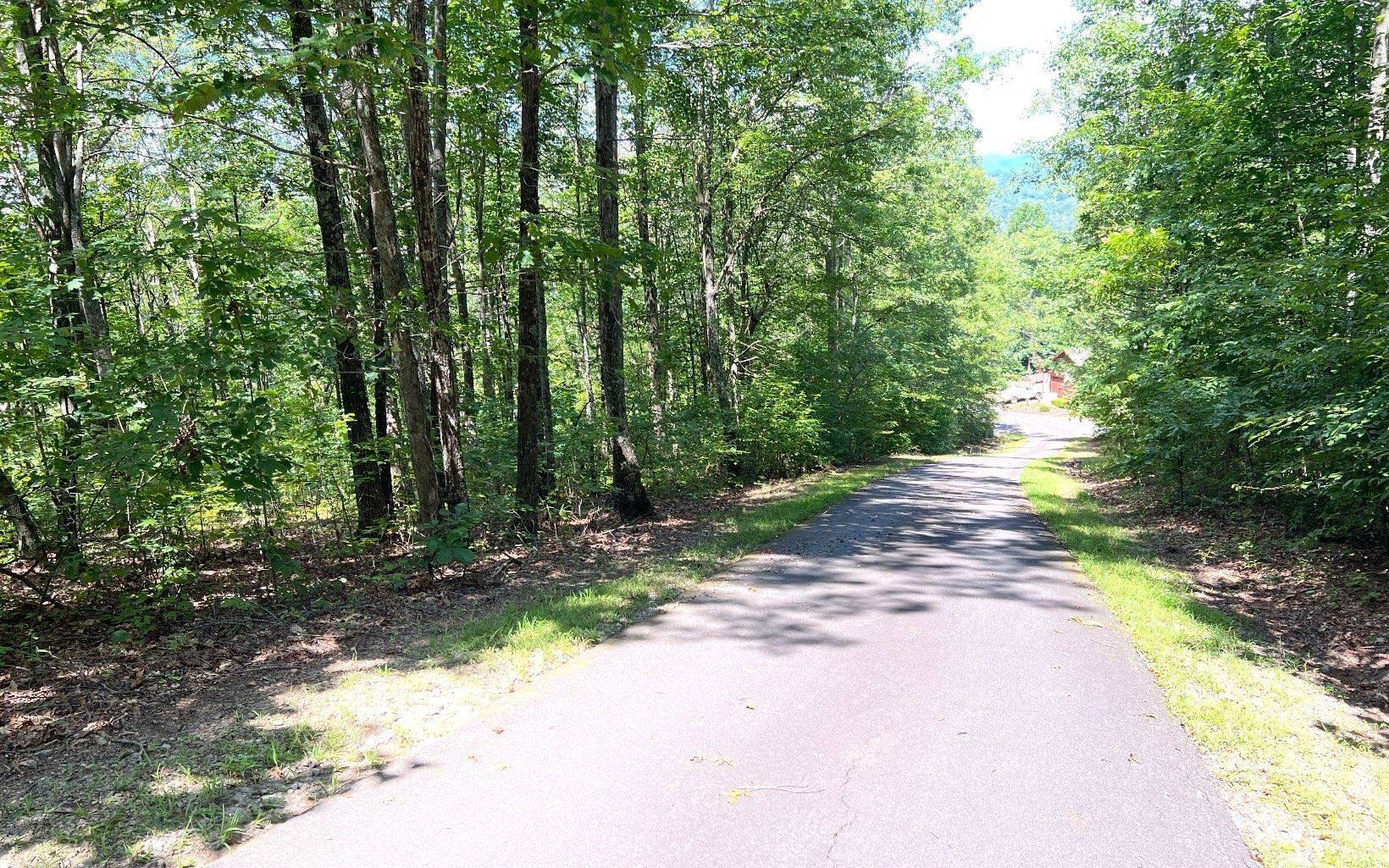 Hayesville, NC 28904,LOT 17A Trillium Heights