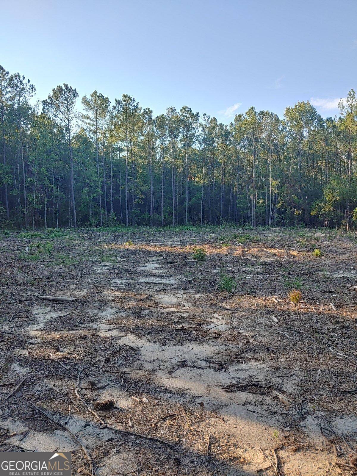 Lizella, GA 31052,115 W Abbey DR