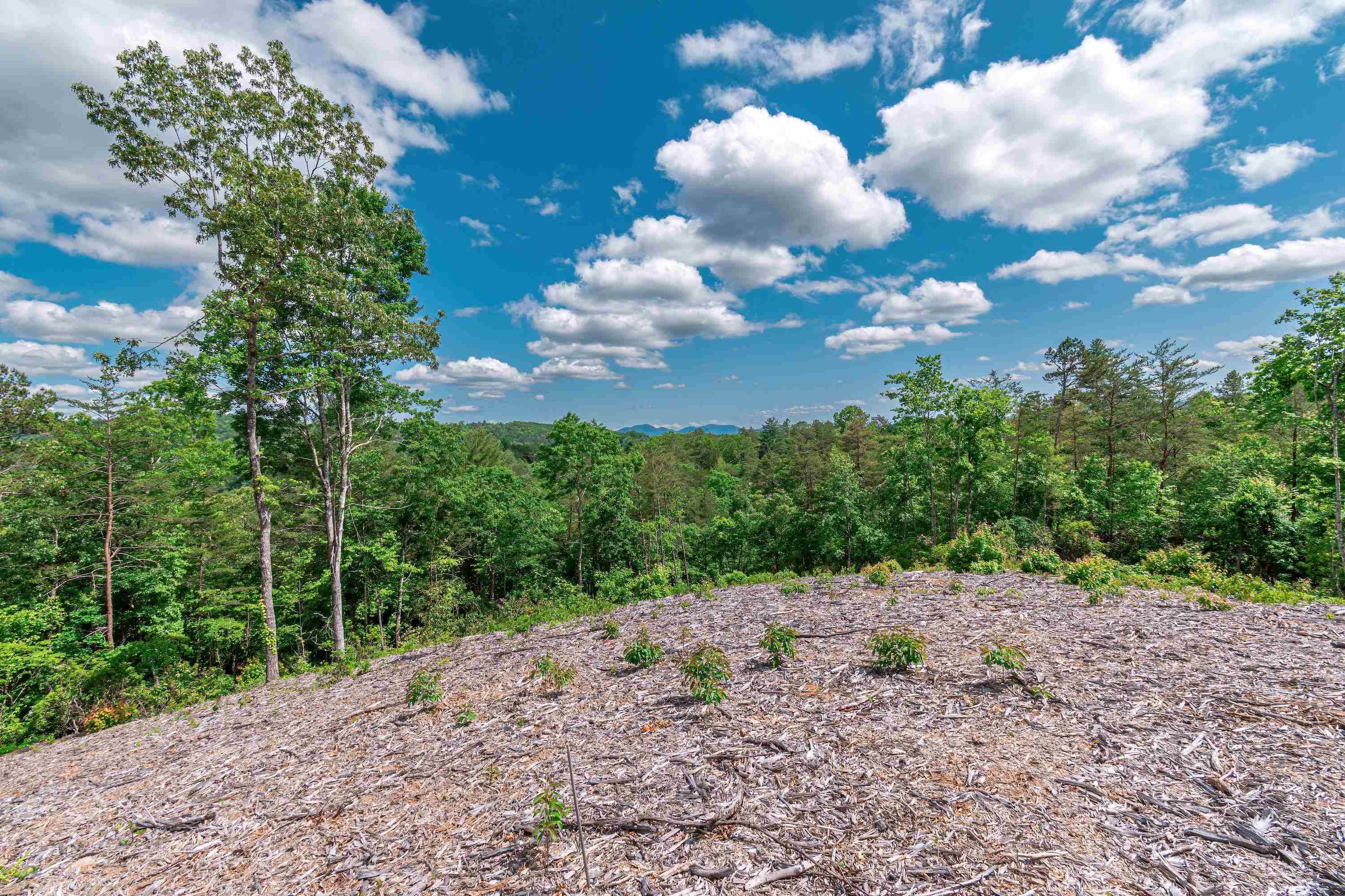 Mineral Bluff, GA 30559,LT 19 Mountain Laurel RDG