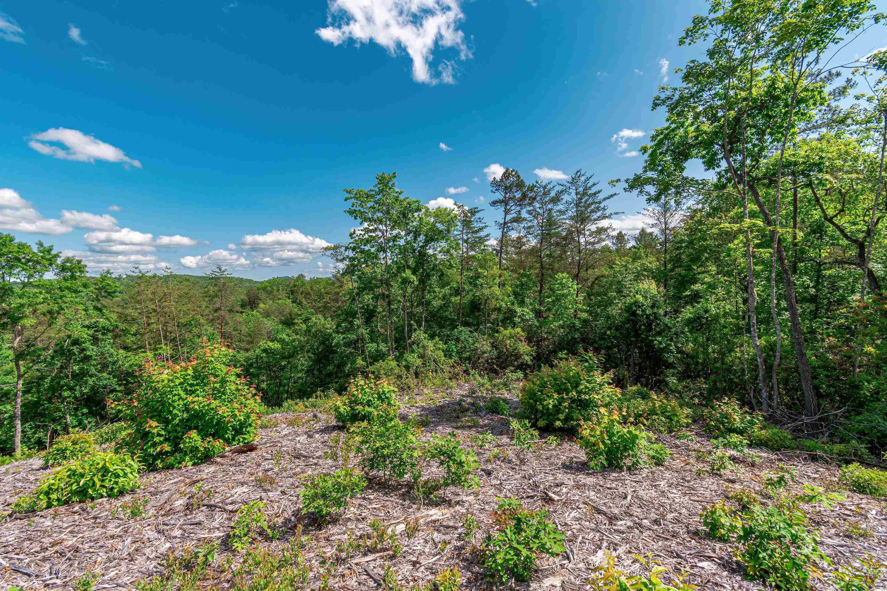Mineral Bluff, GA 30559,LT 19 Mountain Laurel RDG