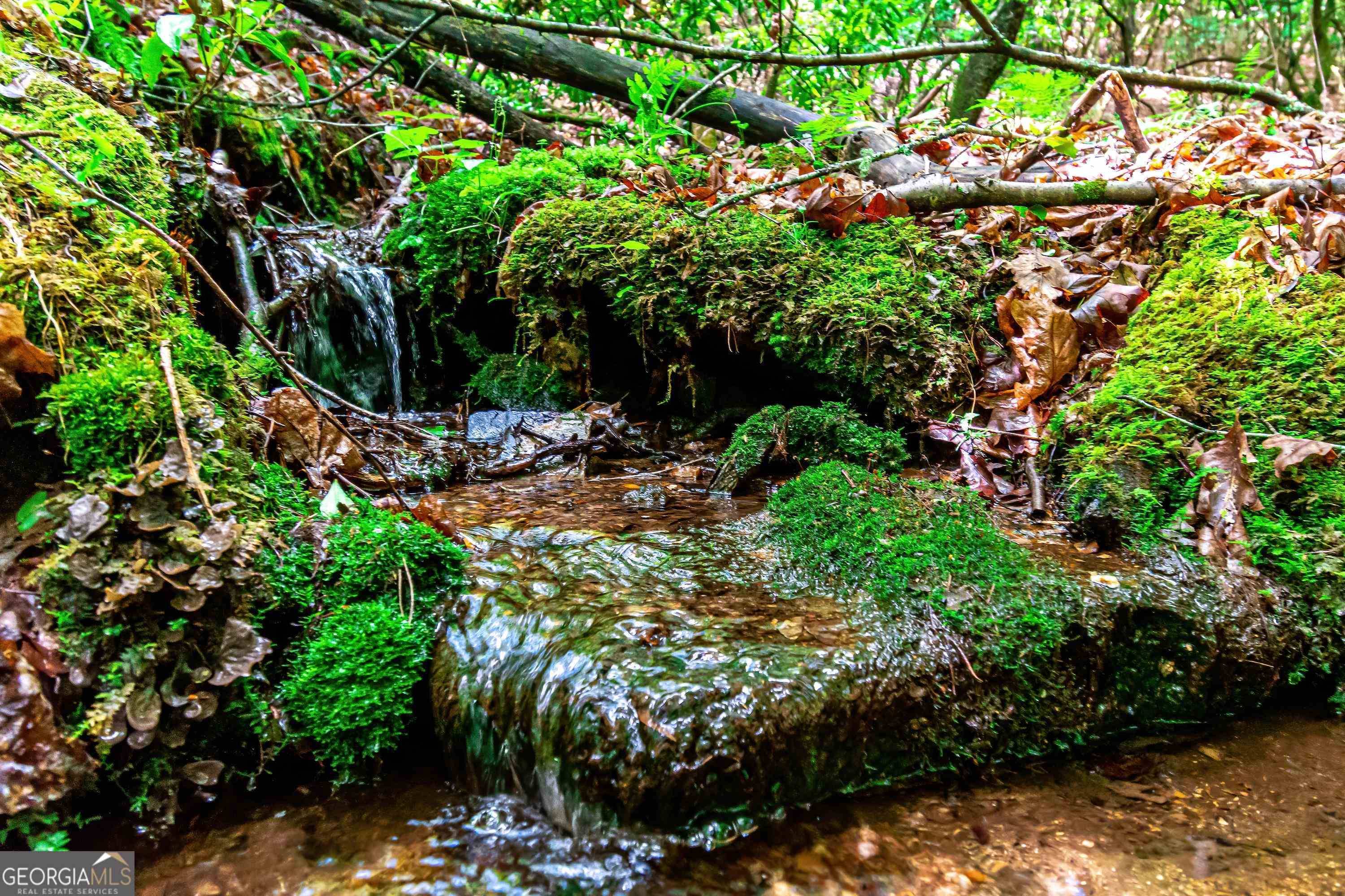 Mineral Bluff, GA 30559,LT 19 Mountain Laurel RDG