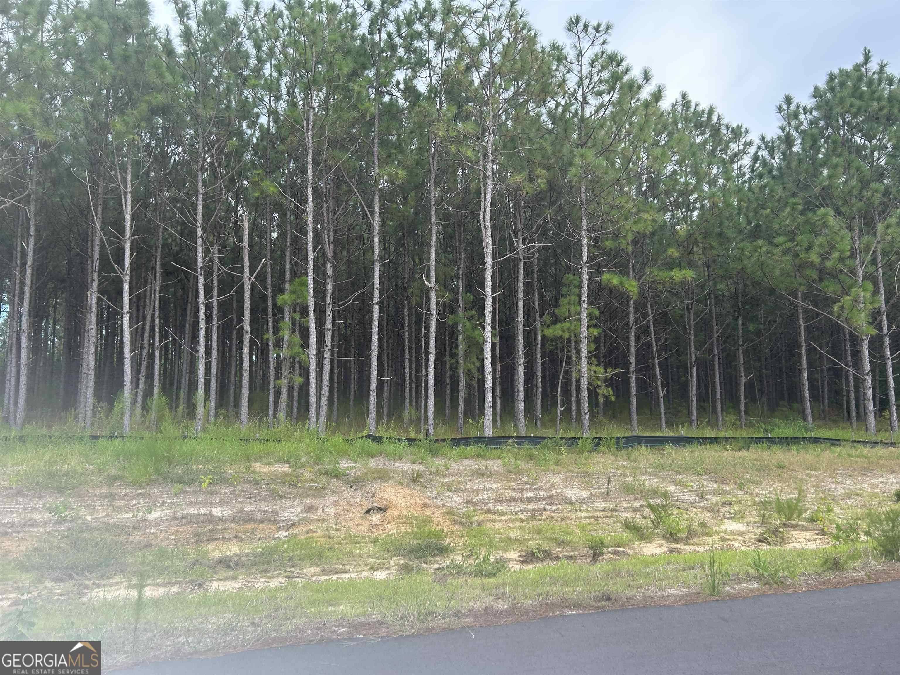 Statesboro, GA 30458,115 East Lake DR