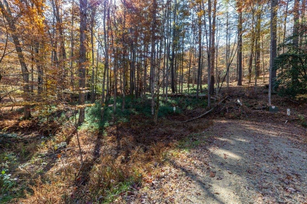 Blairsville, GA 30512,LOT 218 Riverside On Lake Nottley