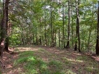 Ranger, GA 30734,1533 Crystal Lane