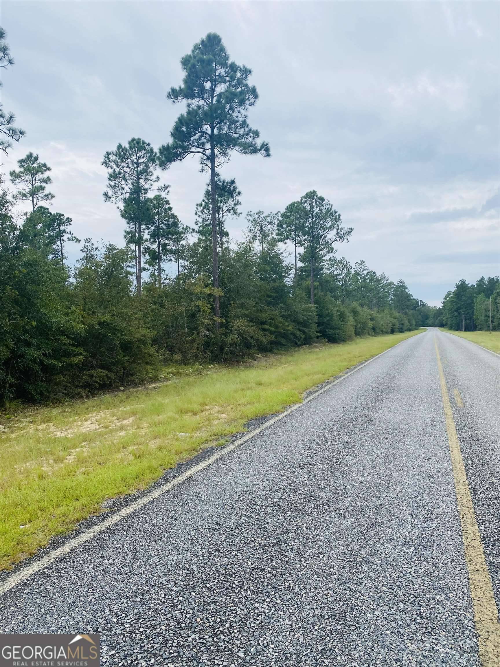 Statesboro, GA 30458,001 Lotts Creek RD