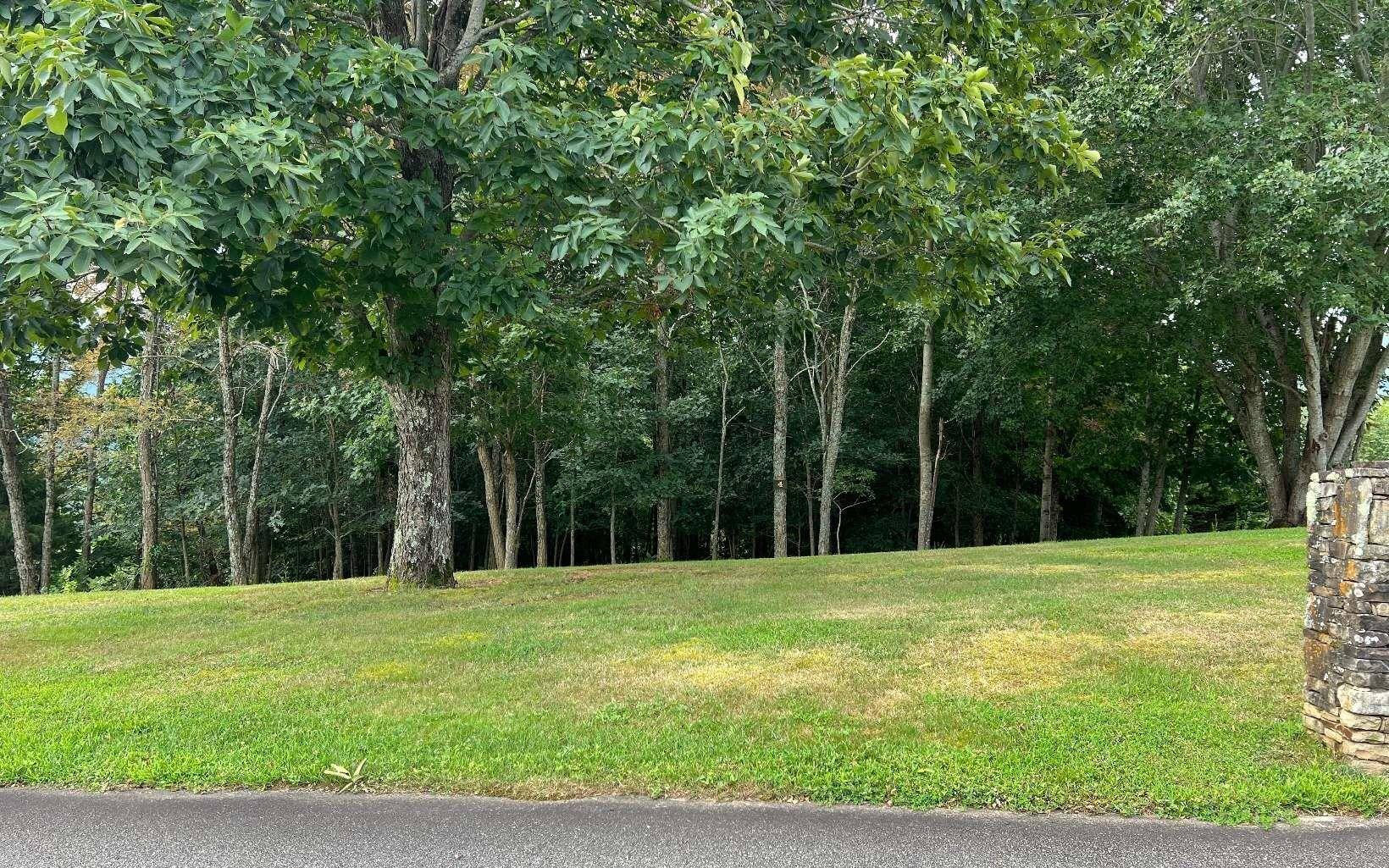 Blairsville, GA 30512,LOT 4 The Summit