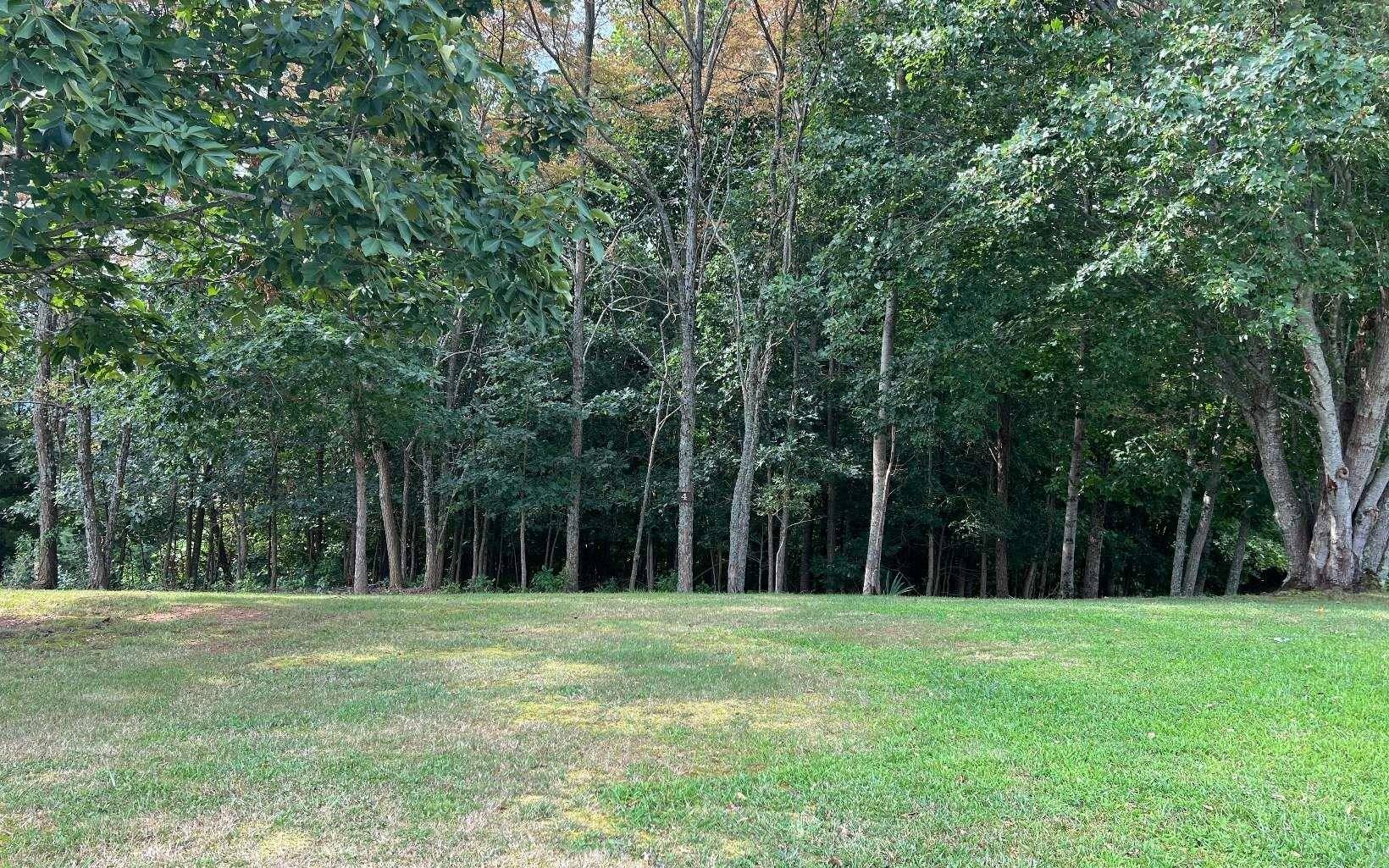Blairsville, GA 30512,LOT 4 The Summit