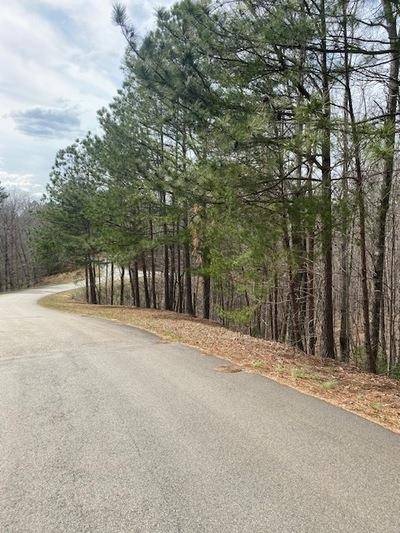 Ellijay, GA 30540,18+ ACS Lakeland Estates