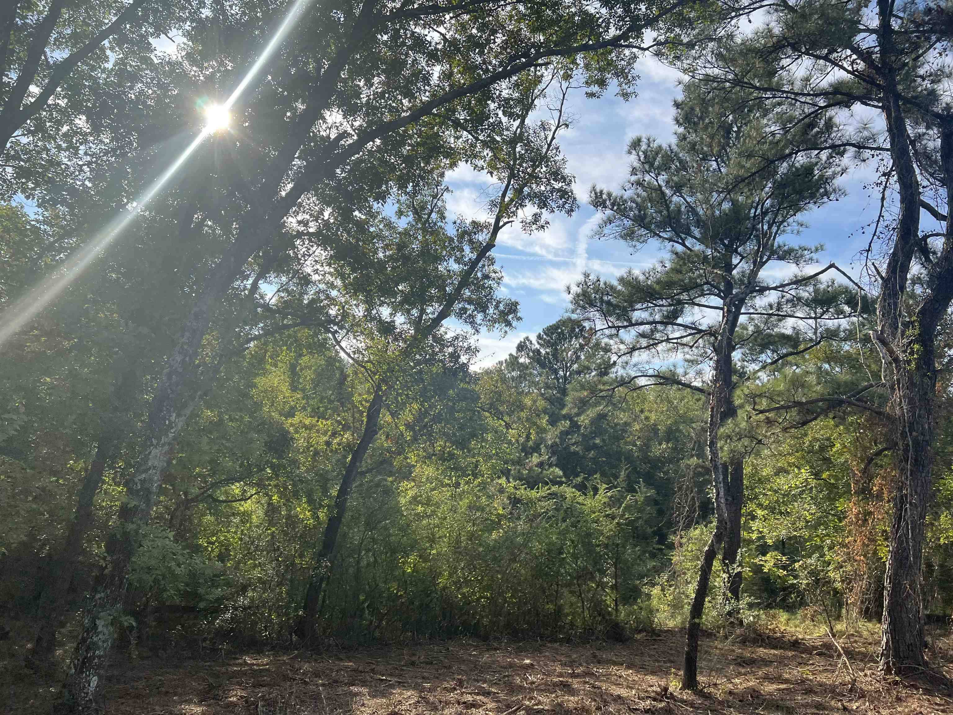 Loganville, GA 30052,LOT 10 Kent Rock