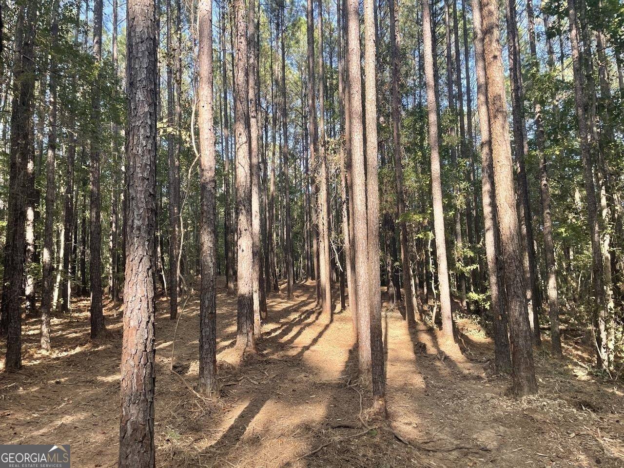 Juliette, GA 31046,1283 Klopfer RD