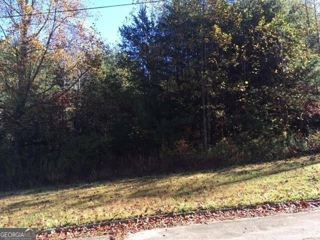 Rabun Gap, GA 30568,LOT 6A Mountainside DR