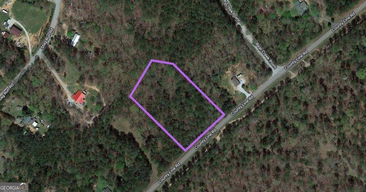 Mansfield, TN 38012,LOT 145 County Line RD