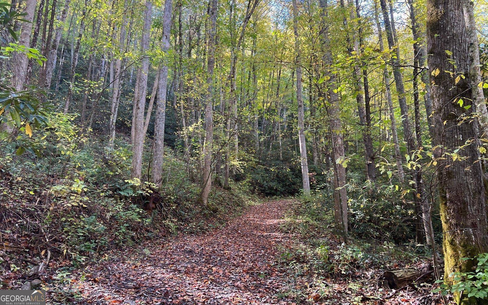 Hayesville, NC 28904,TR 1 Tusquittee Road