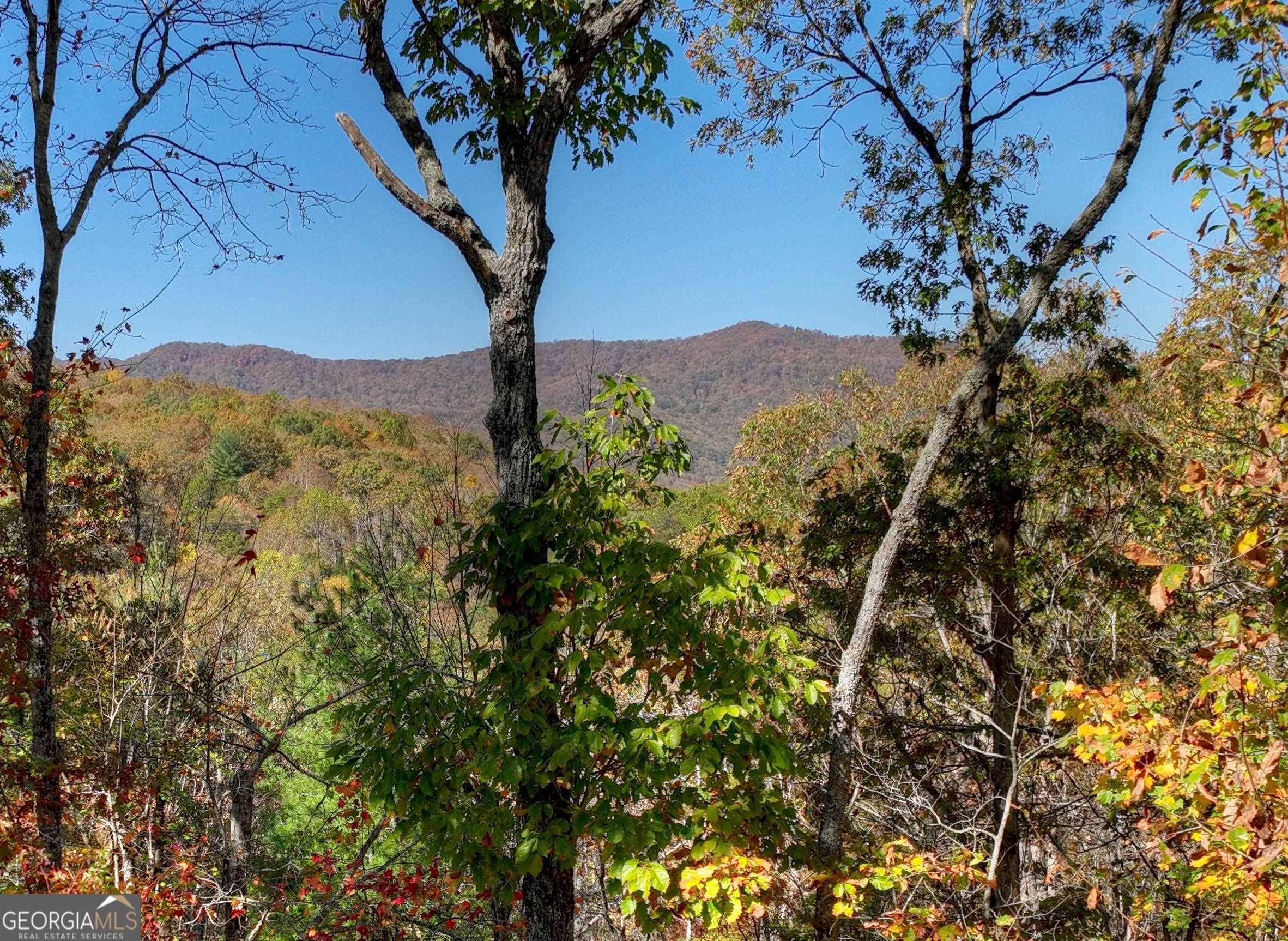 Cherry Log, GA 30522,186 Leatherwood Mountain