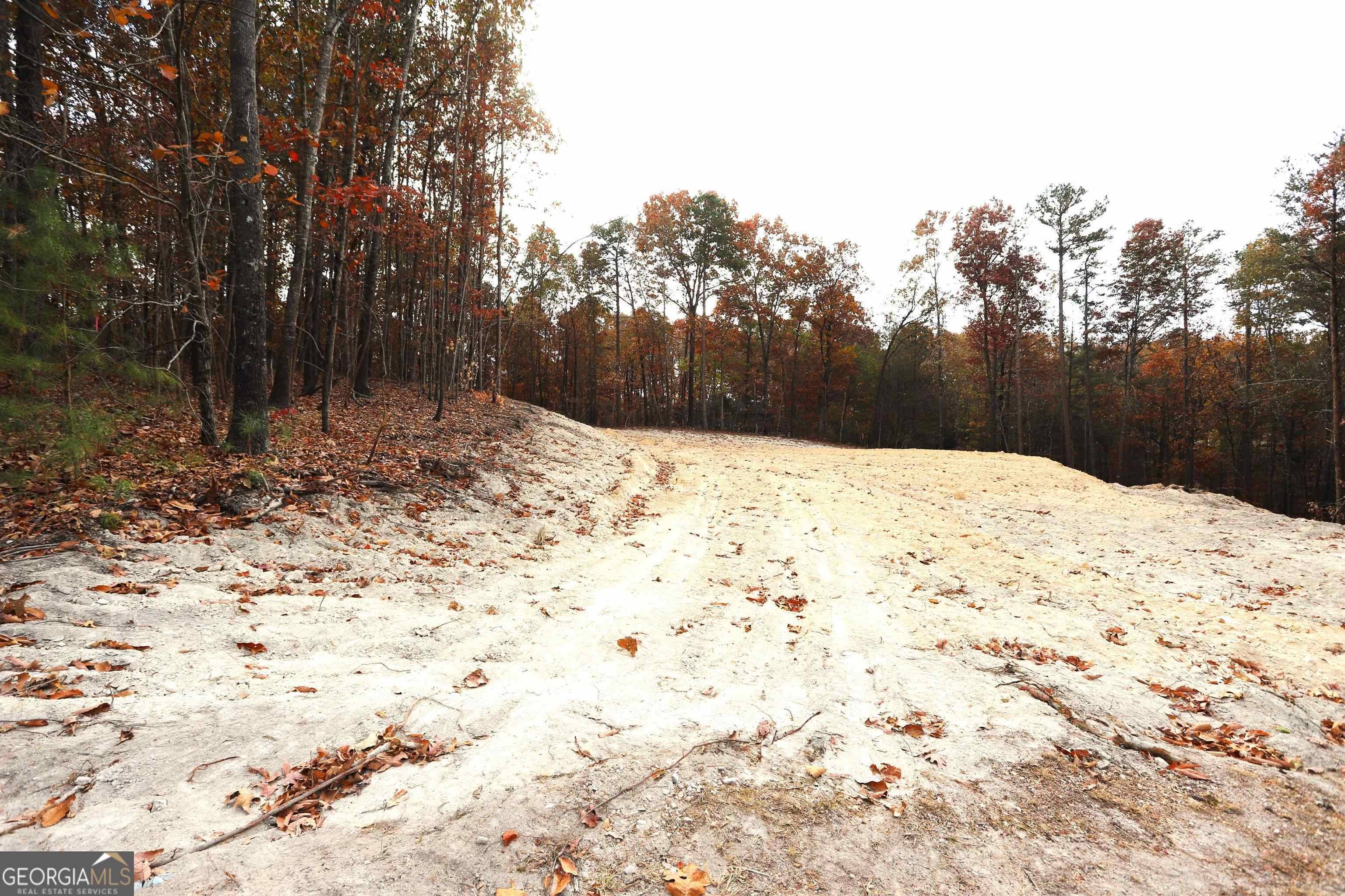 Summerville, GA 30747,249 Sara Jane Lane