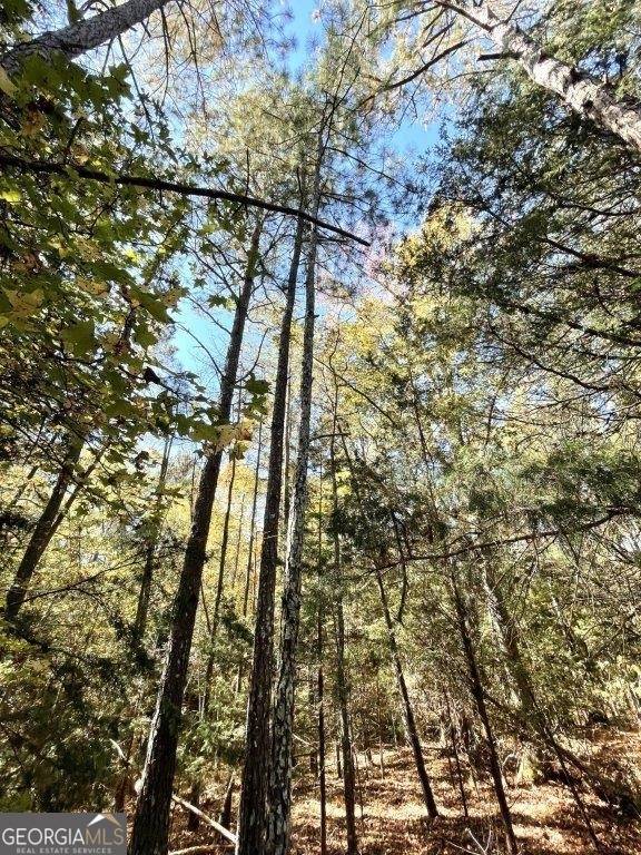 Newborn, GA 30056,1330 Blackwell RD