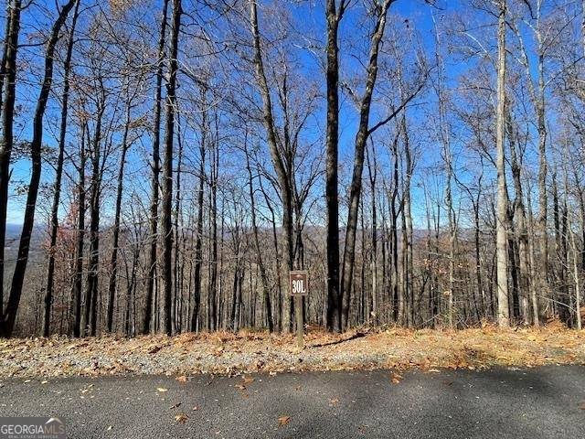 Cleveland, GA 30528,LOT # 30 Mountainside