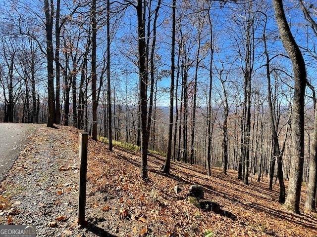 Cleveland, GA 30528,LOT # 30 Mountainside