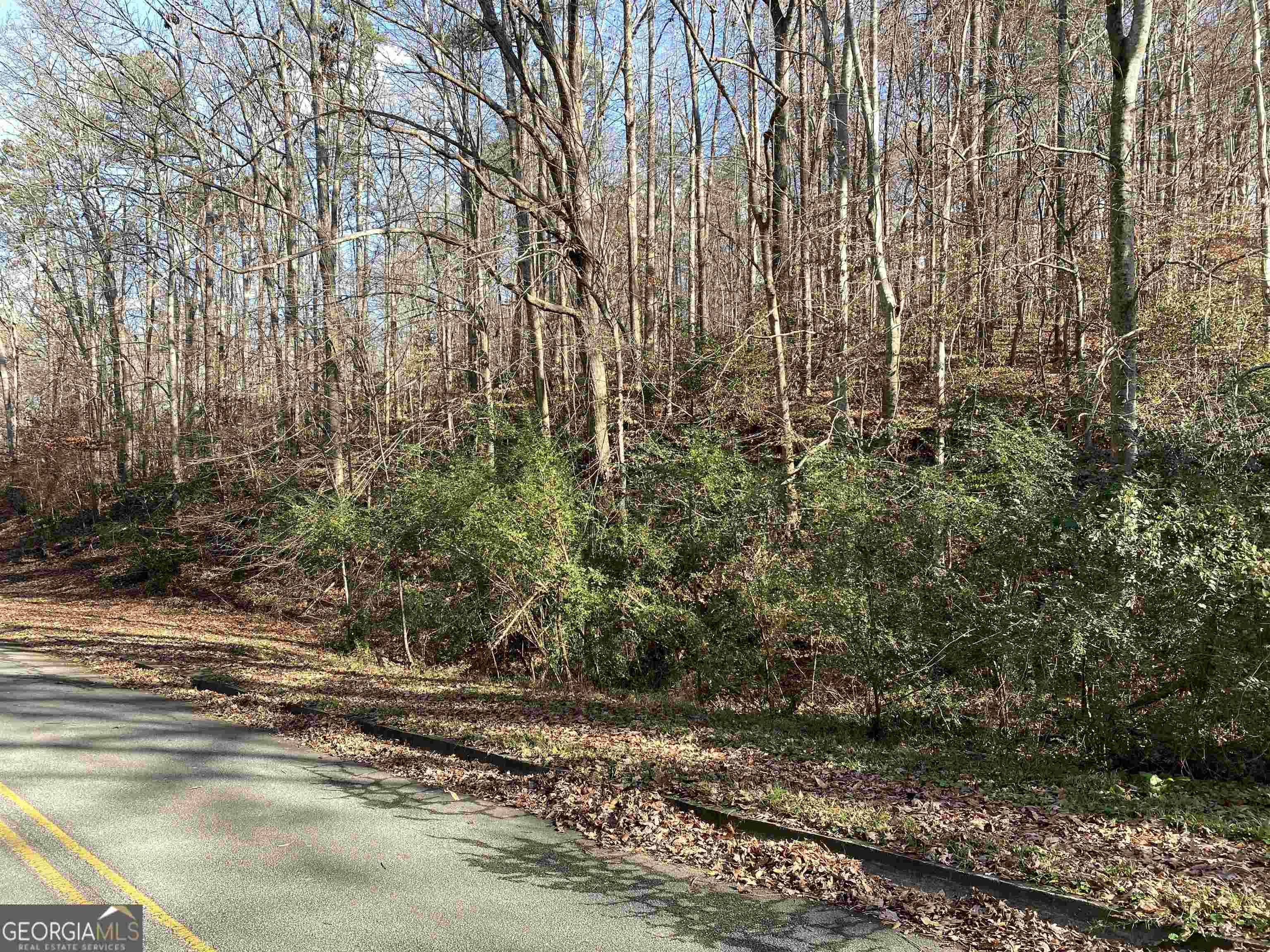 Toccoa, GA 30577,206 Henderson Falls Rd - 2.67 Ac