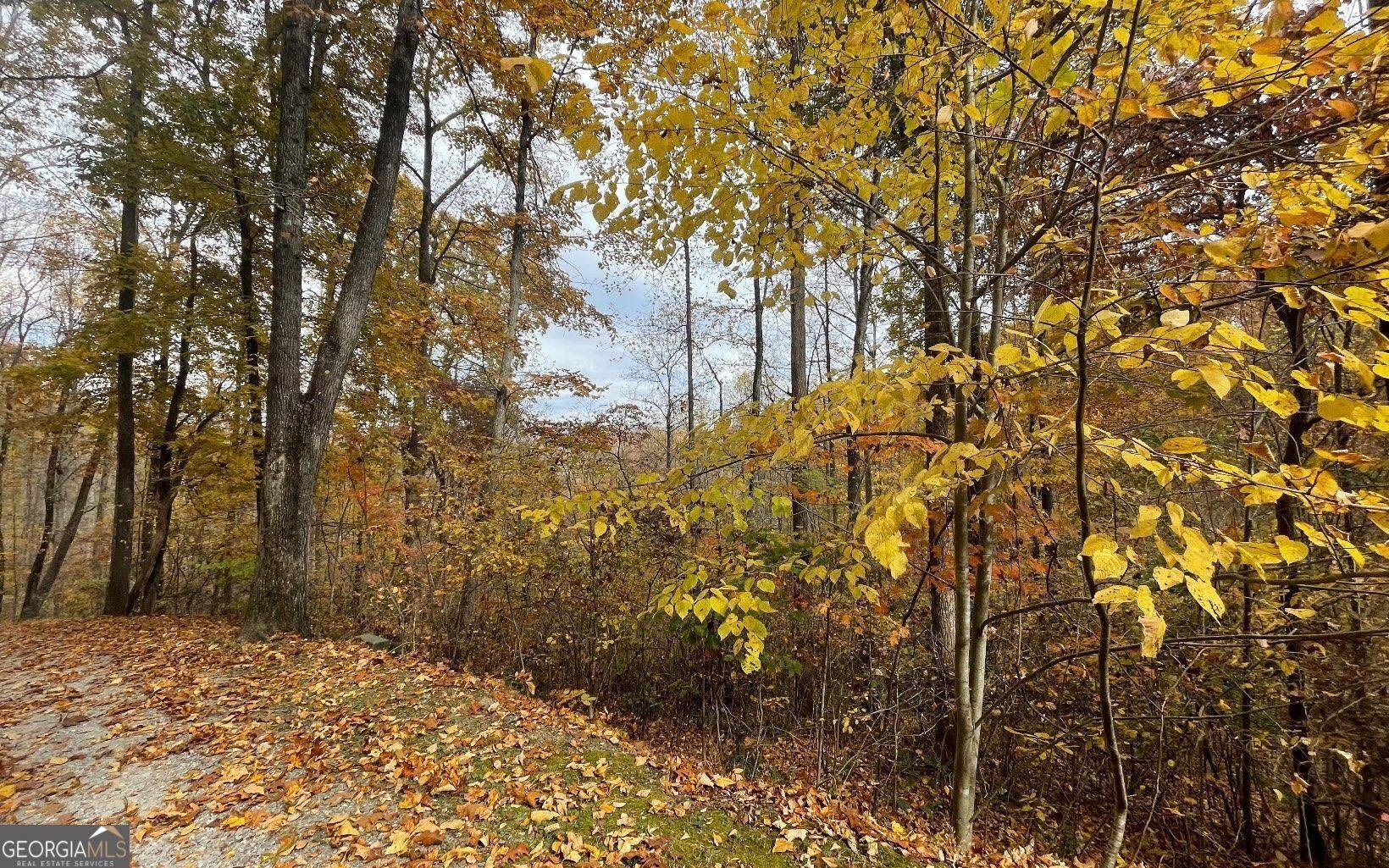 Hayesville, NC 28904,LOT 5A Ann's Lane
