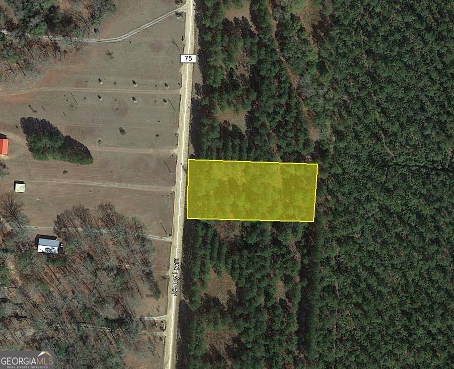 Fort Gaines, GA 39851,LOT 7 Jenny Lynn LN