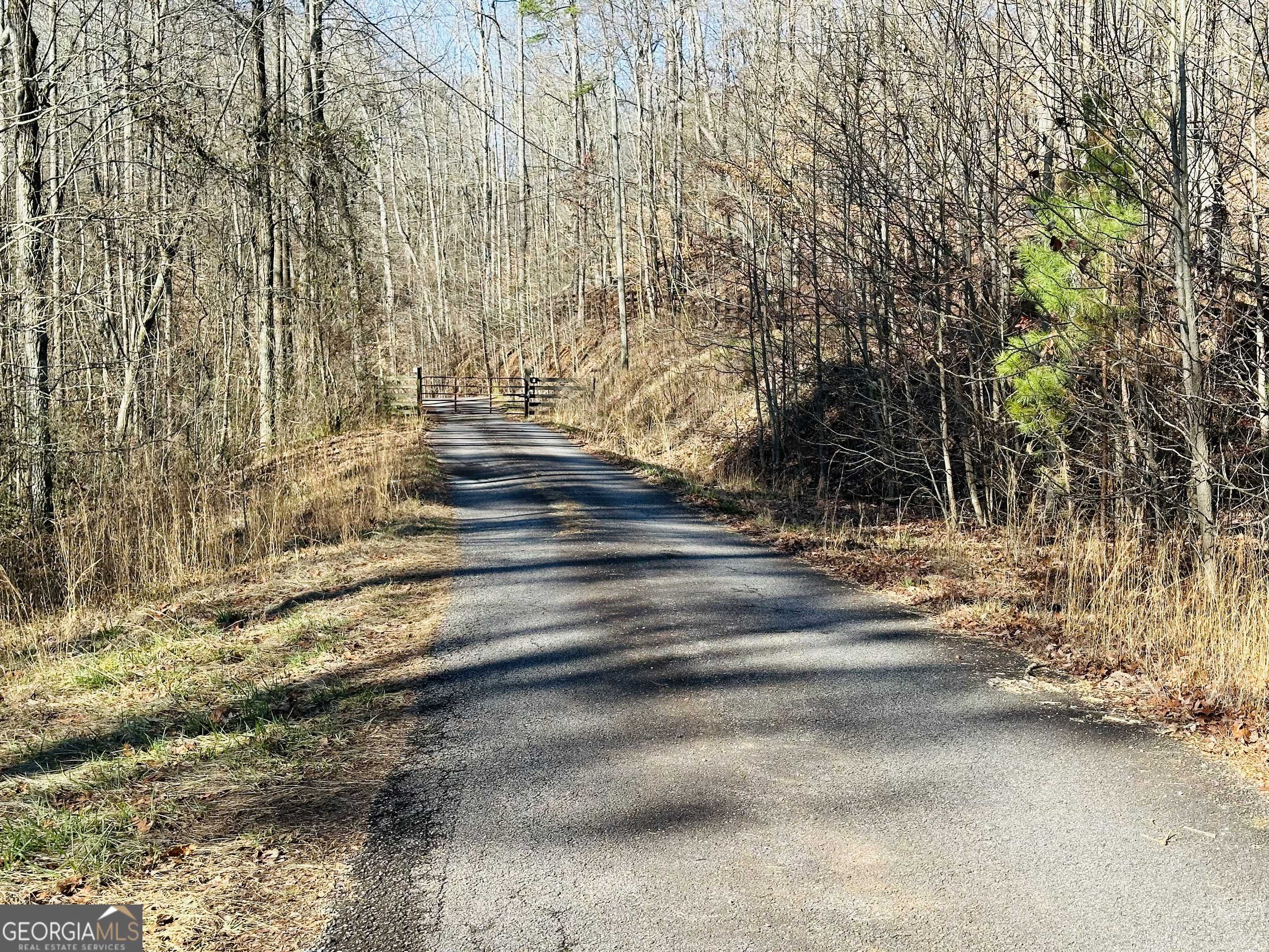 Alto, GA 30510,0 Harmony Valley DR