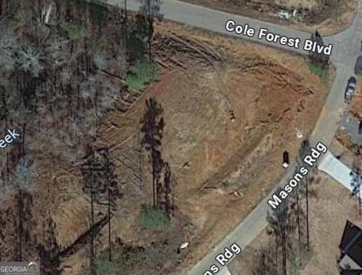 Barnesville, GA 30204,LOT 51 Cole Forest Blvd #LOT 51