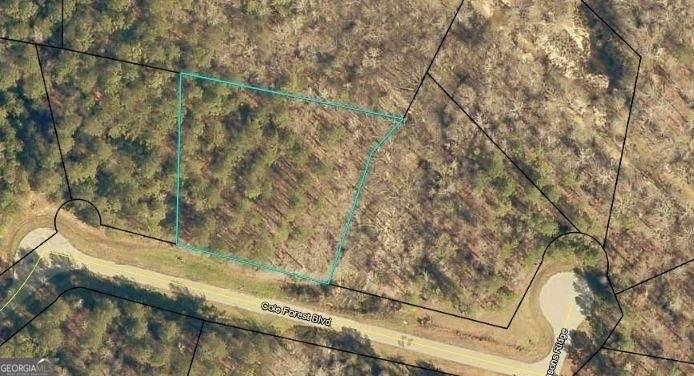 Barnesville, GA 30204,LOT 112 Cole Forest Blvd