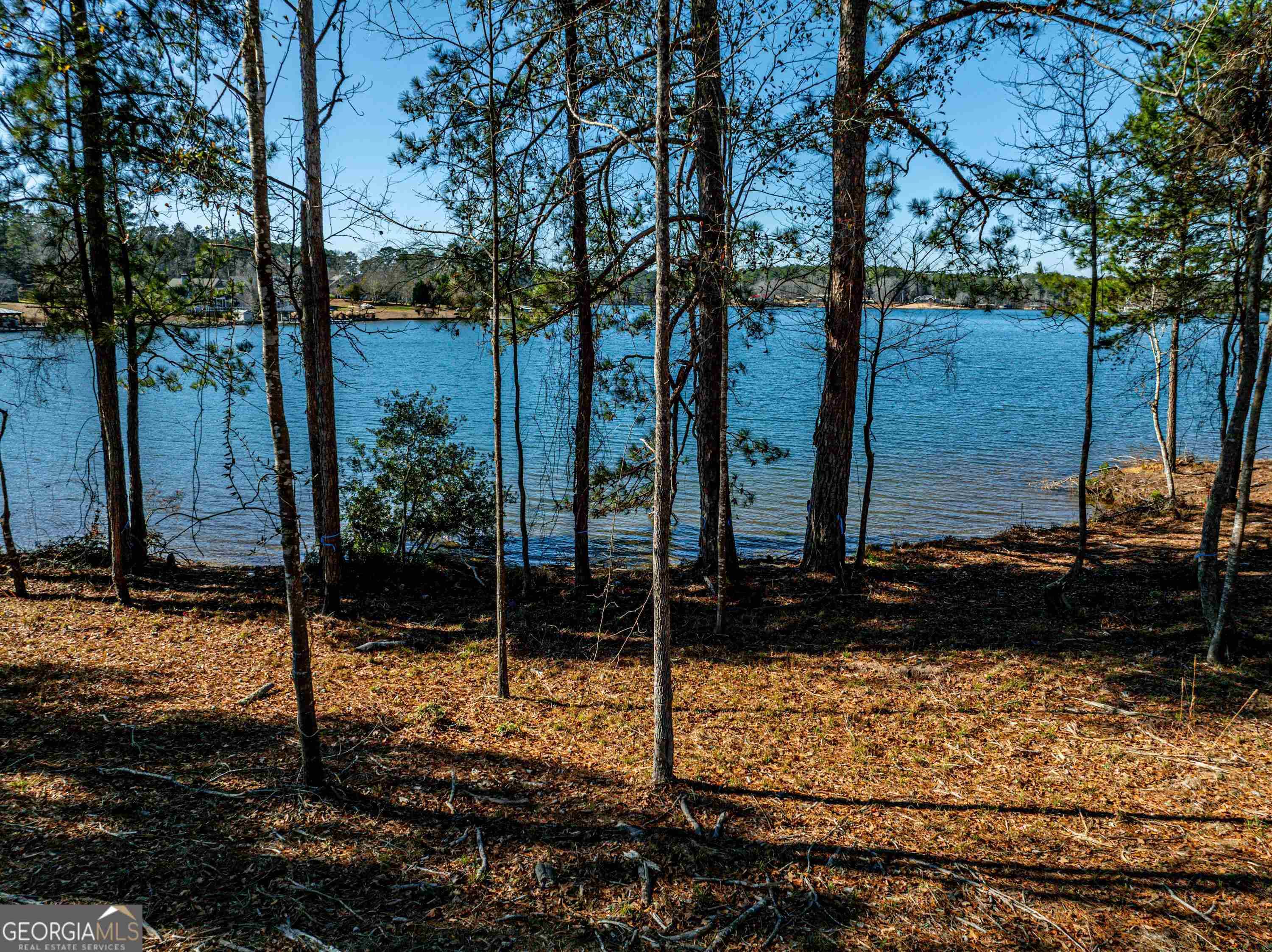 Milledgeville, GA 31061,224 Falls LN