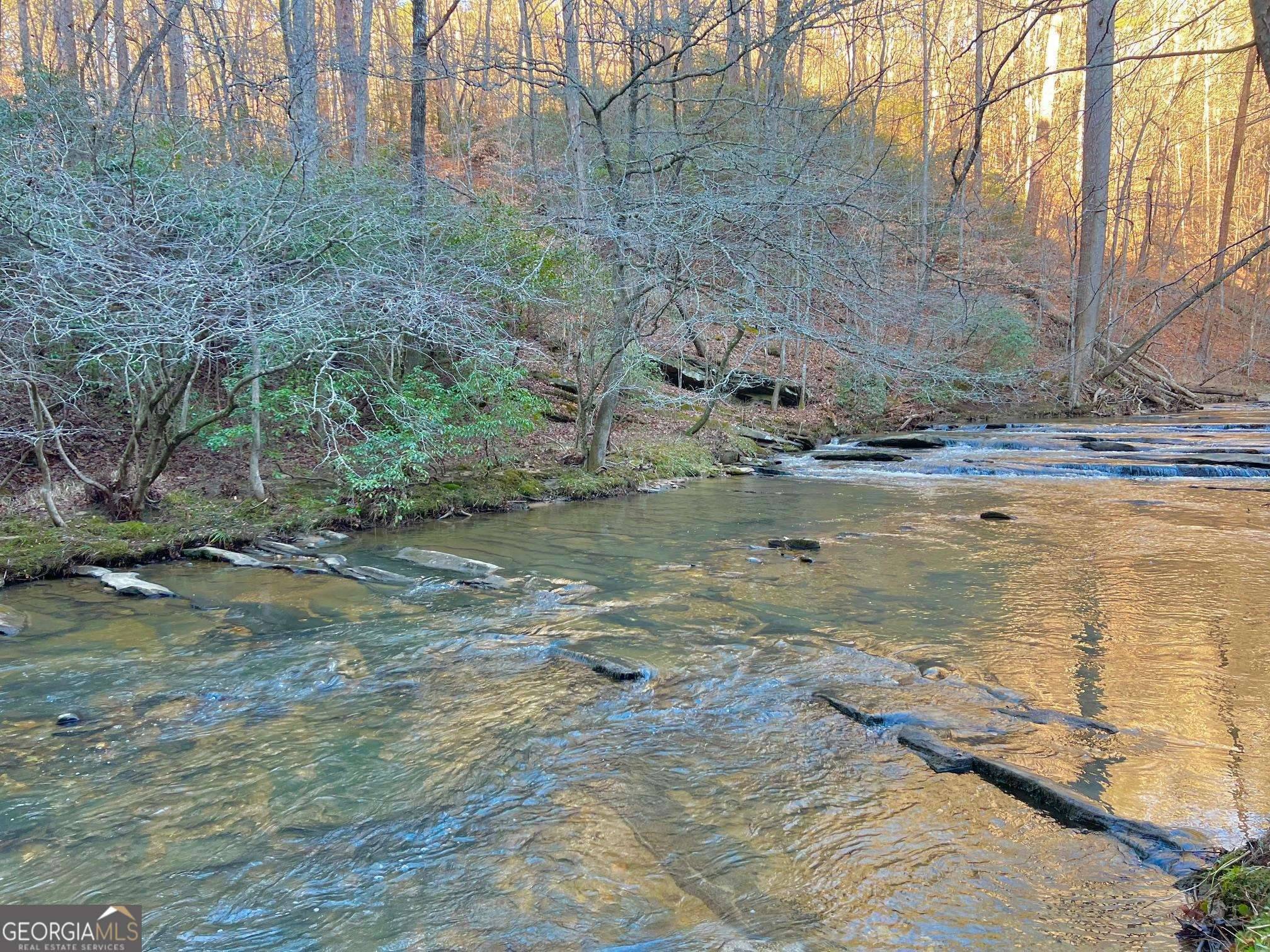 Talking Rock, GA 30175,00 Mountain Creek