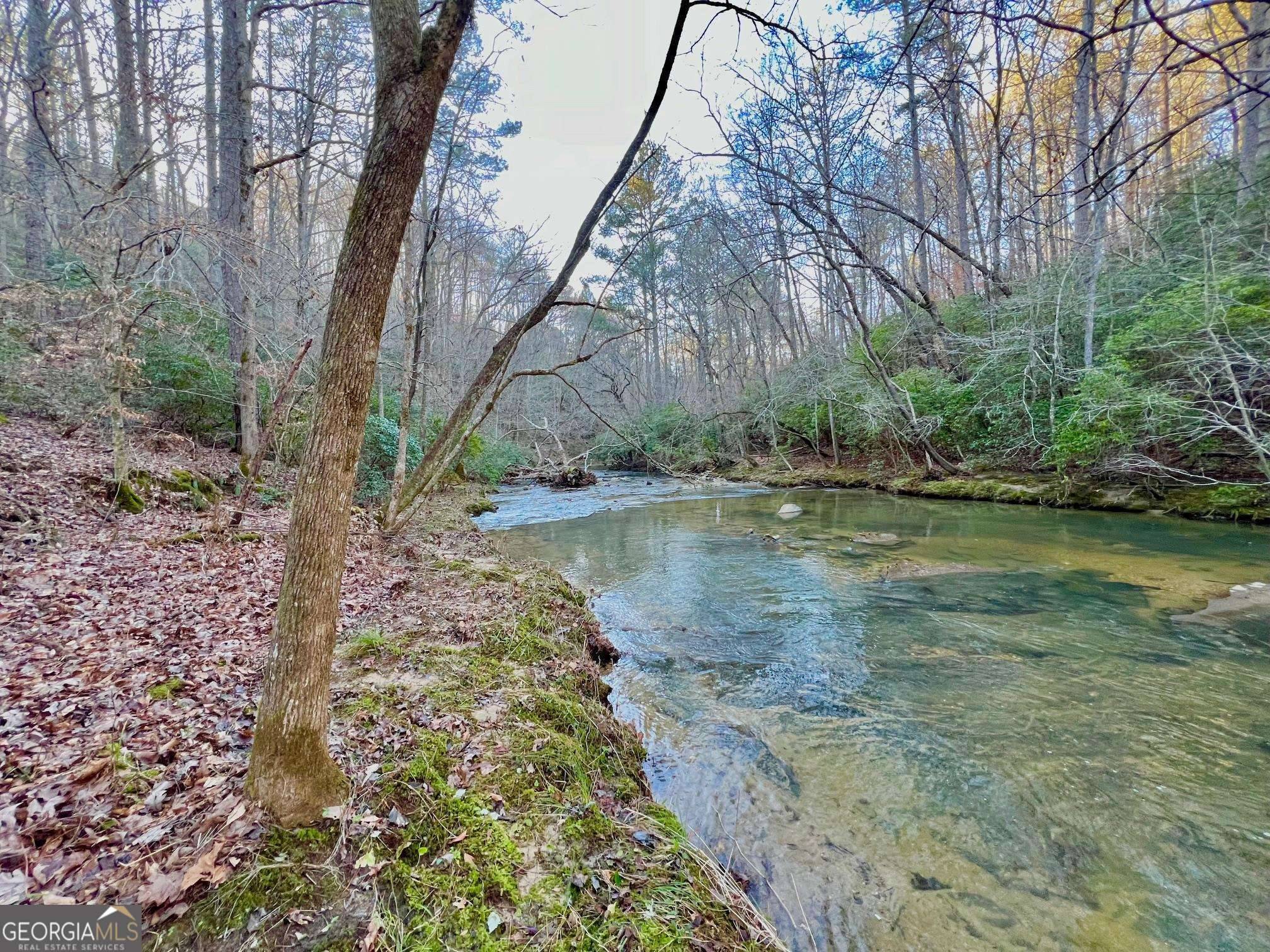 Talking Rock, GA 30175,00 Mountain Creek