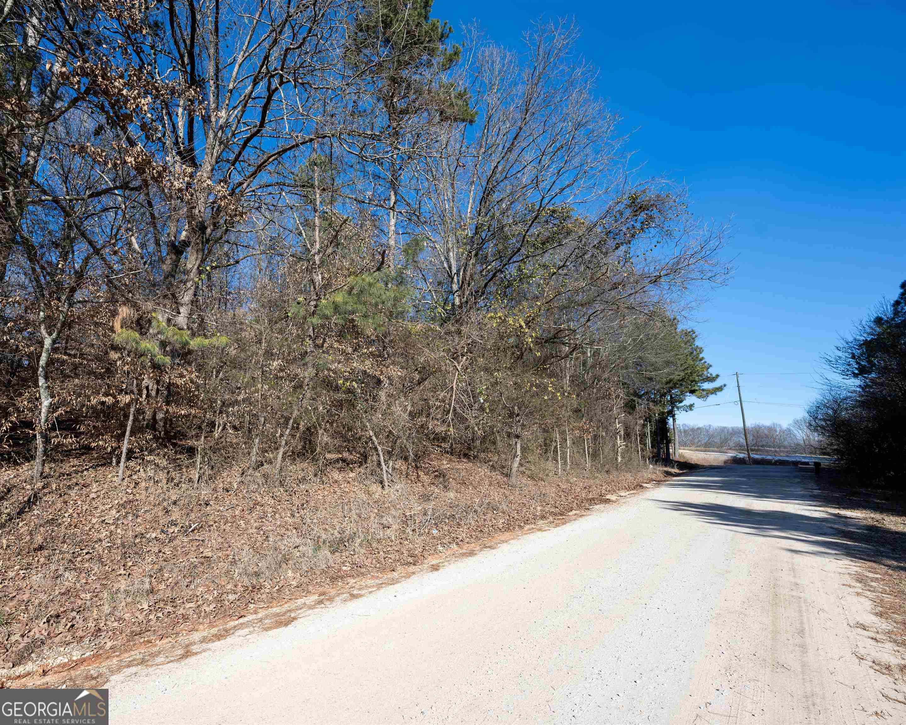 Lavonia, GA 30553,0 Fairview Farm