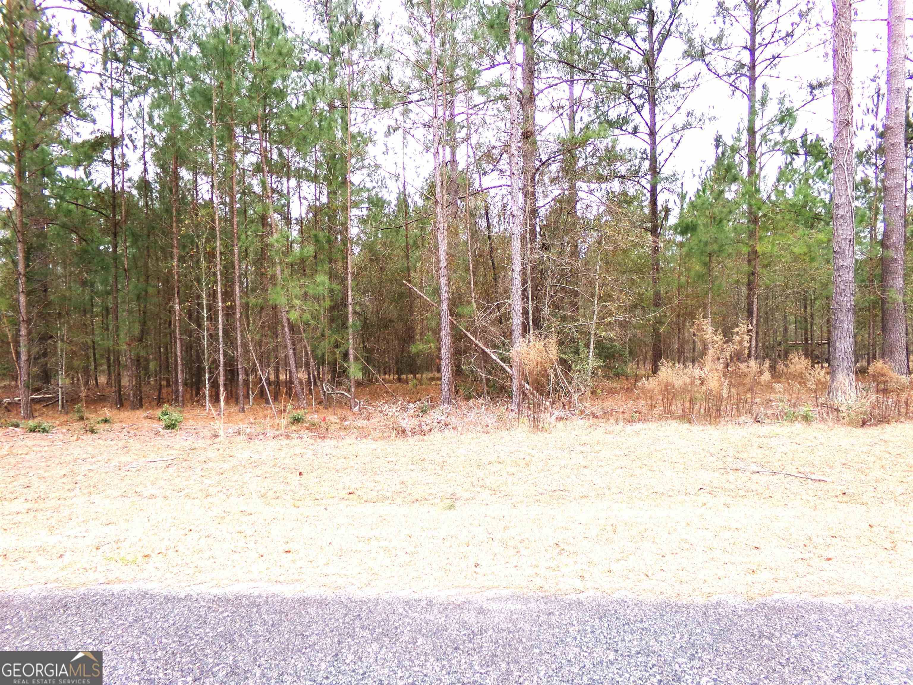 Swainsboro, GA 30401,LOT 9 Timberland Trail #LOT #9