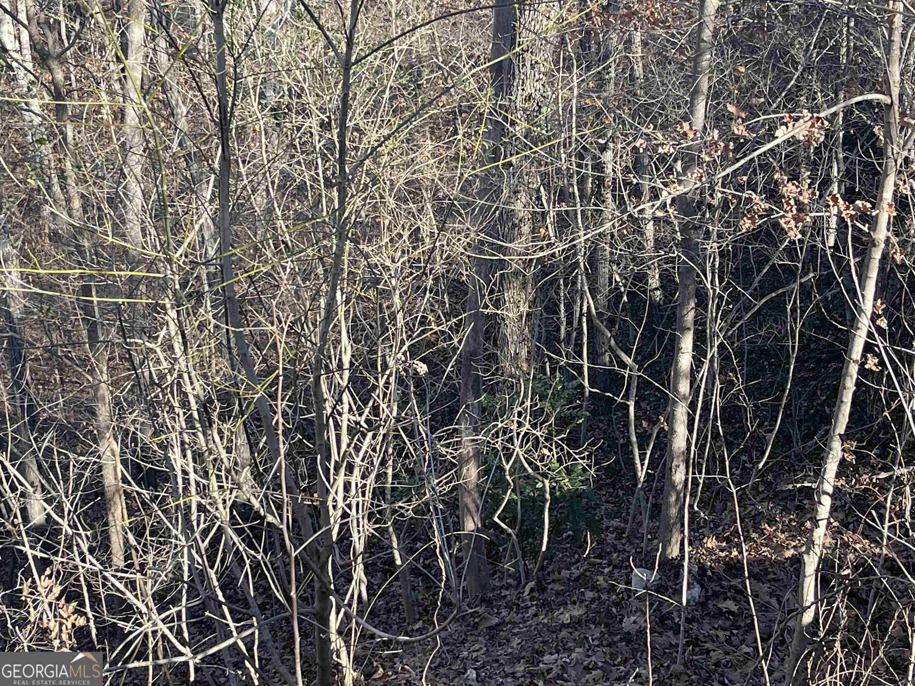 Smyrna, GA 30082,608 & 612 Green Valley