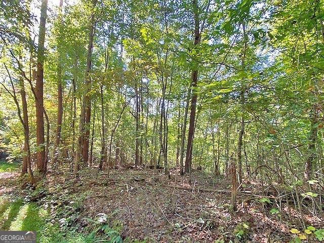 Dahlonega, GA 30533,3AC Winters Mountain RD