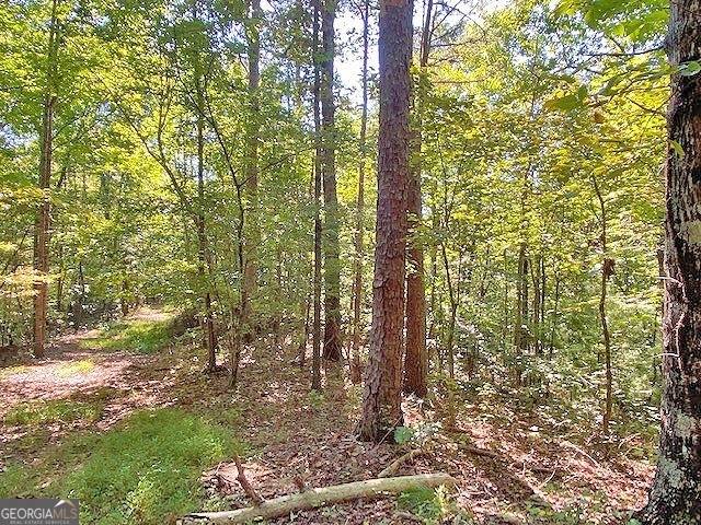 Dahlonega, GA 30533,3AC Winters Mountain RD