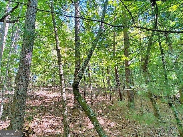 Dahlonega, GA 30533,3AC Winters Mountain RD