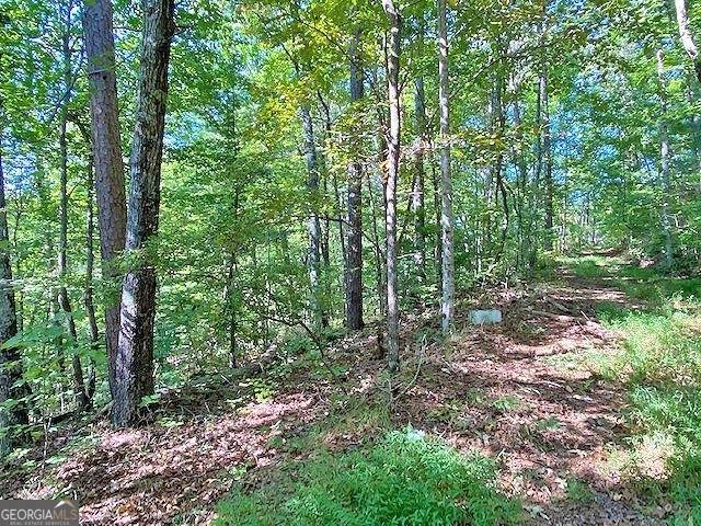 Dahlonega, GA 30533,3AC Winters Mountain RD