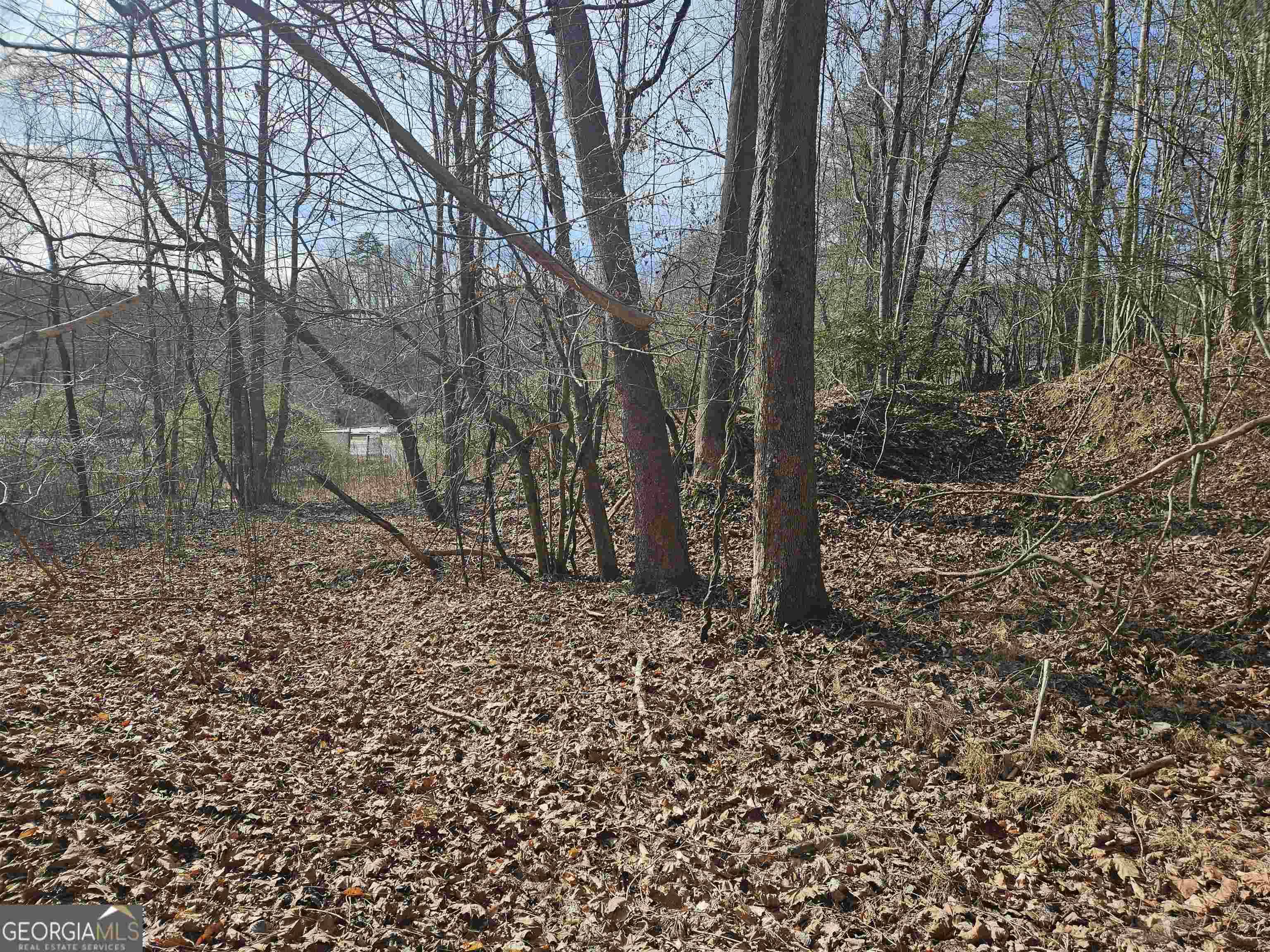 Dahlonega, GA 30533,6.05 AC S. Chestatee