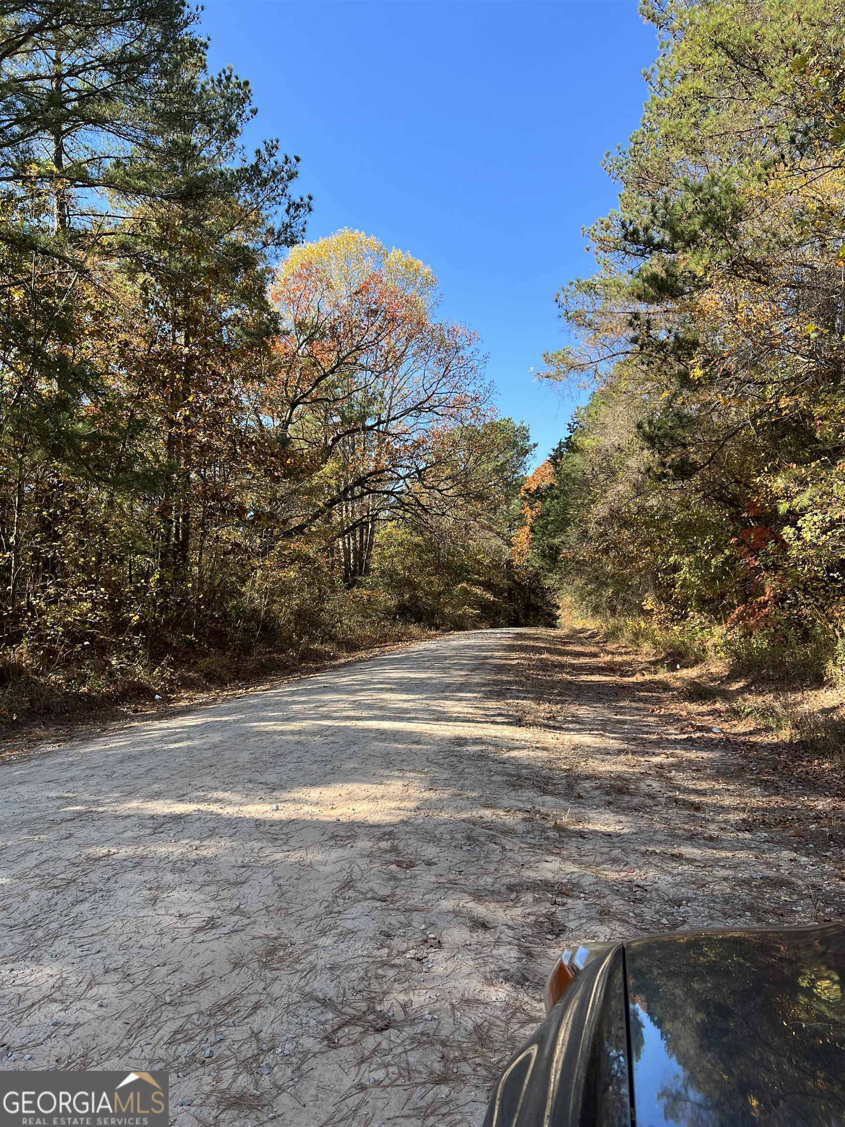 Waco, GA 30182,0 Grady Wright RD