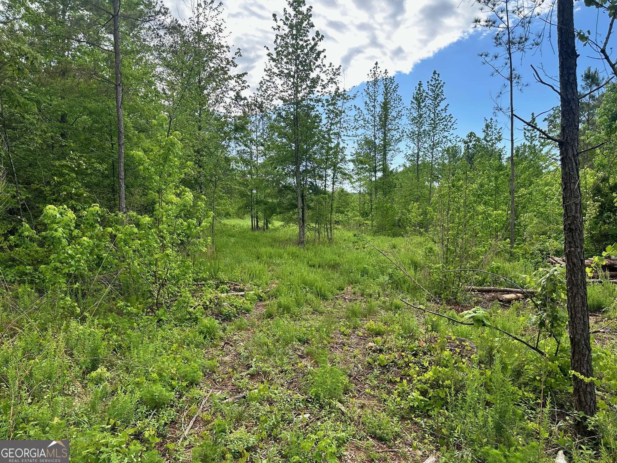 Taylorsville, GA 30178,0 Satcher RD ##1