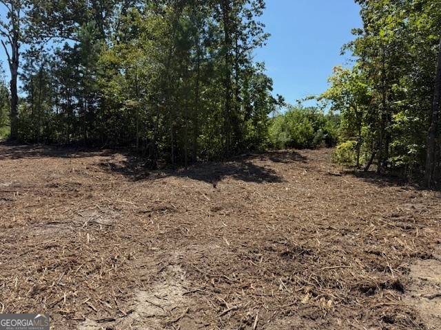 Taylorsville, GA 30178,0 Satcher RD ##1