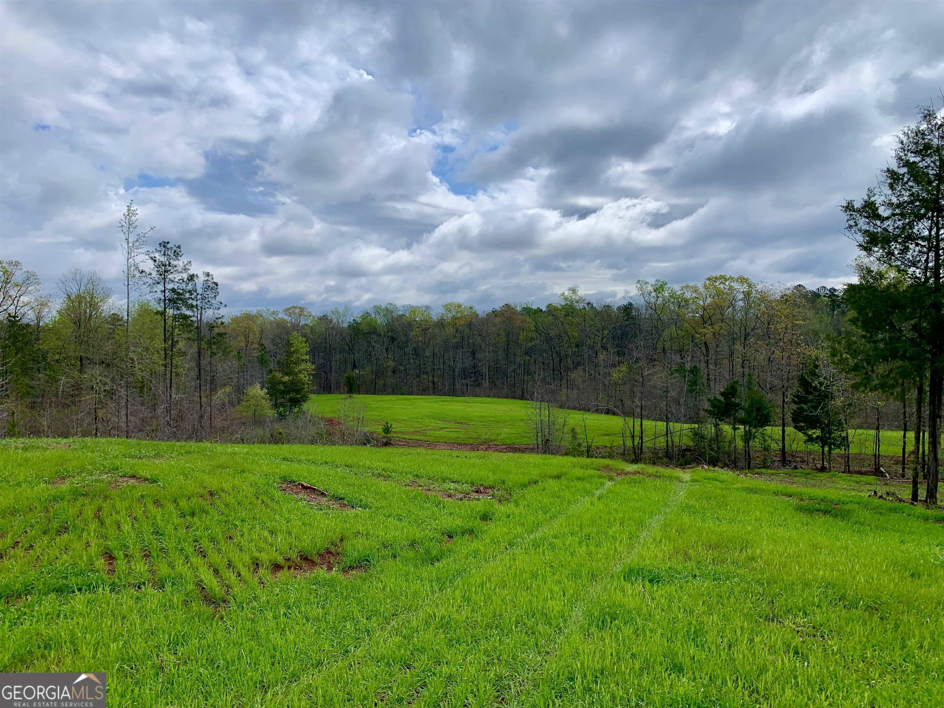 Culloden, GA 31016,0 Jordan Bottoms RD #LOT 12