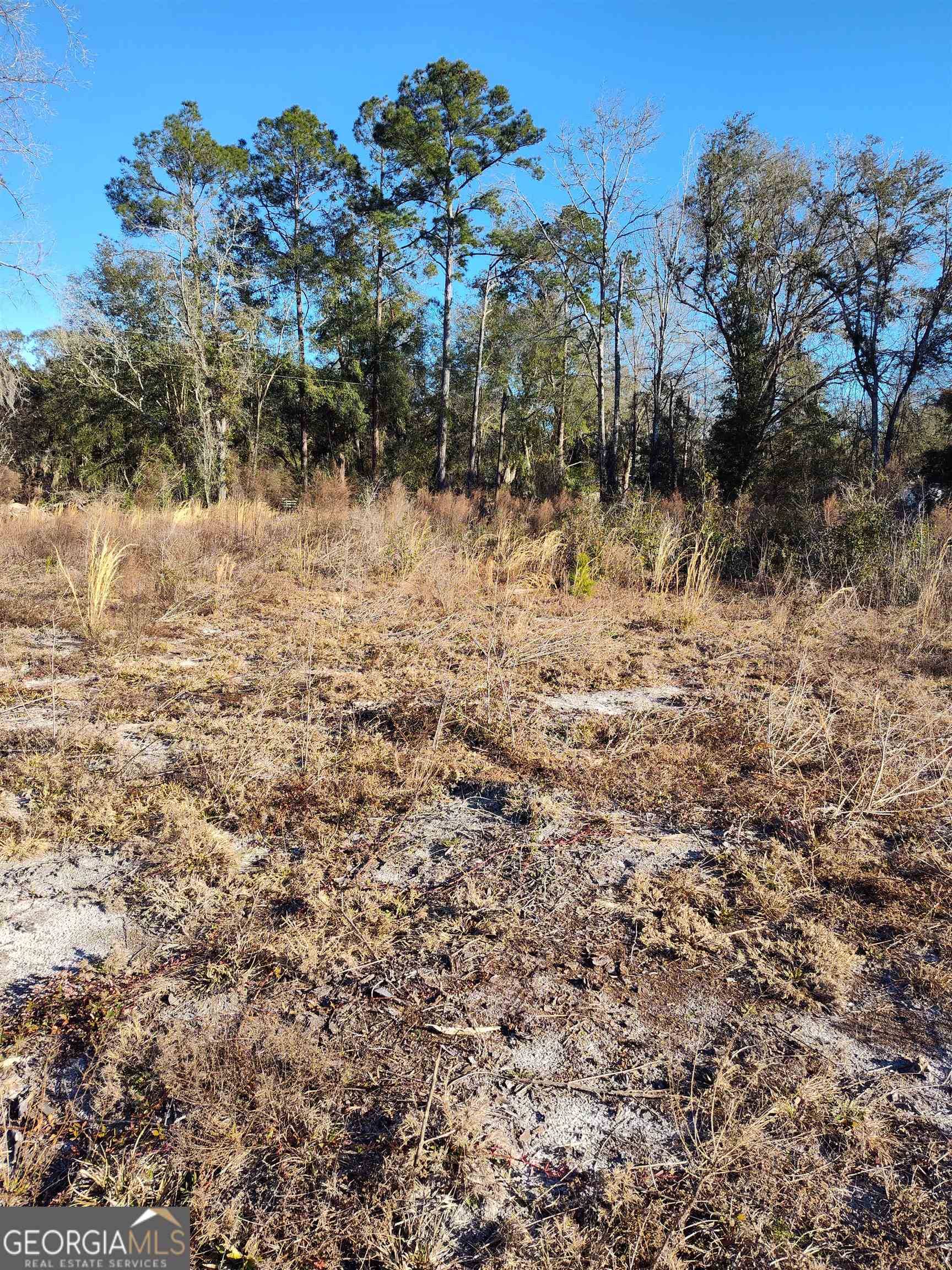 Folkston, GA 31537,0 Old Traders Hill RD #LOT A