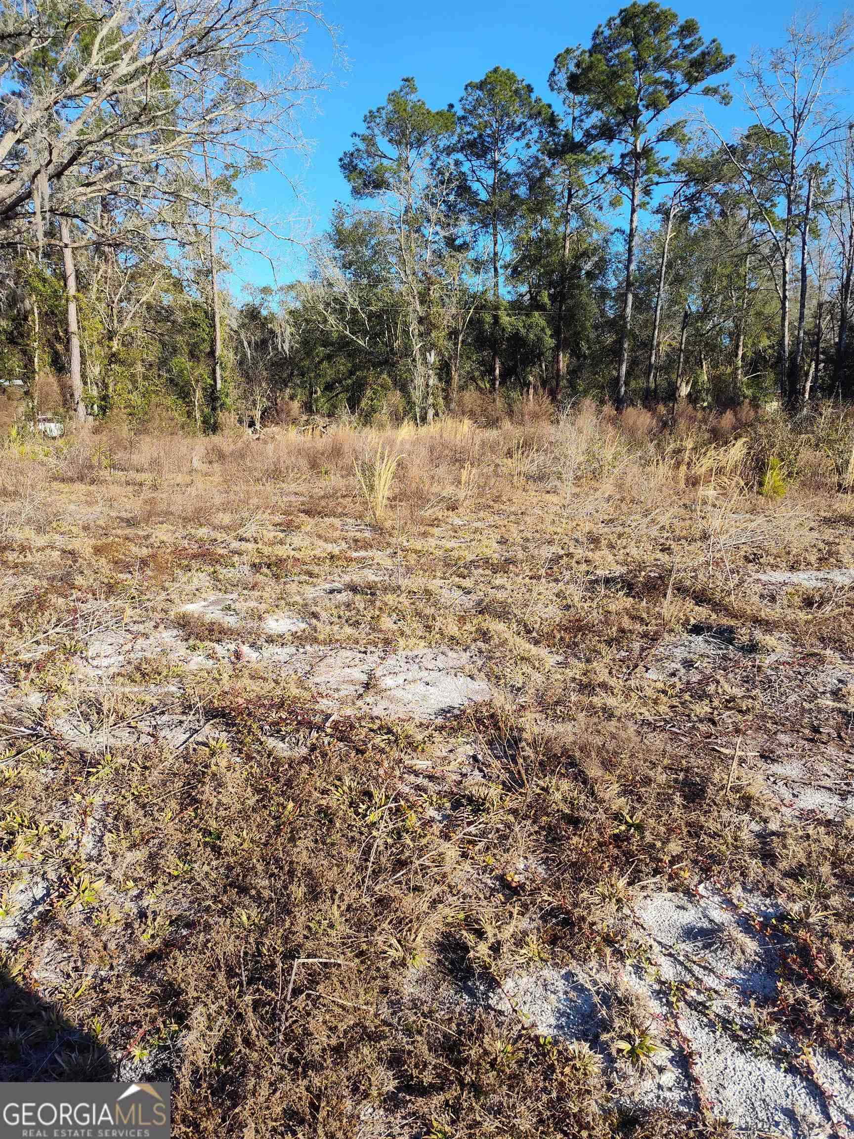 Folkston, GA 31537,0 Old Traders Hill RD #LOT A