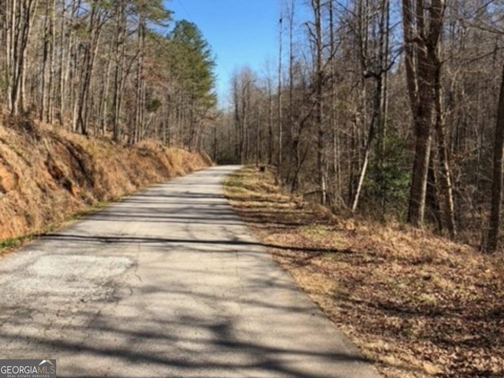 Dahlonega, GA 30533,0 River Highlands RD #LOT 5